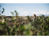 Laine Magazine - Laine - Nordic Knit Life Vol.6